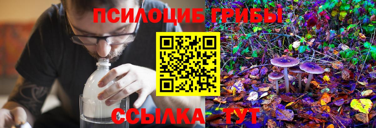 Псилоцибиновые грибы Magic Shrooms Ростов-на-Дону